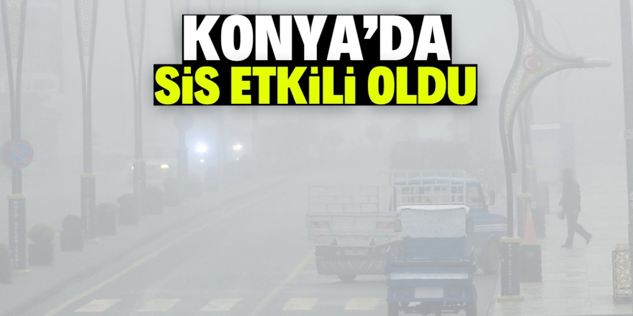Konya'da sis etkili oldu