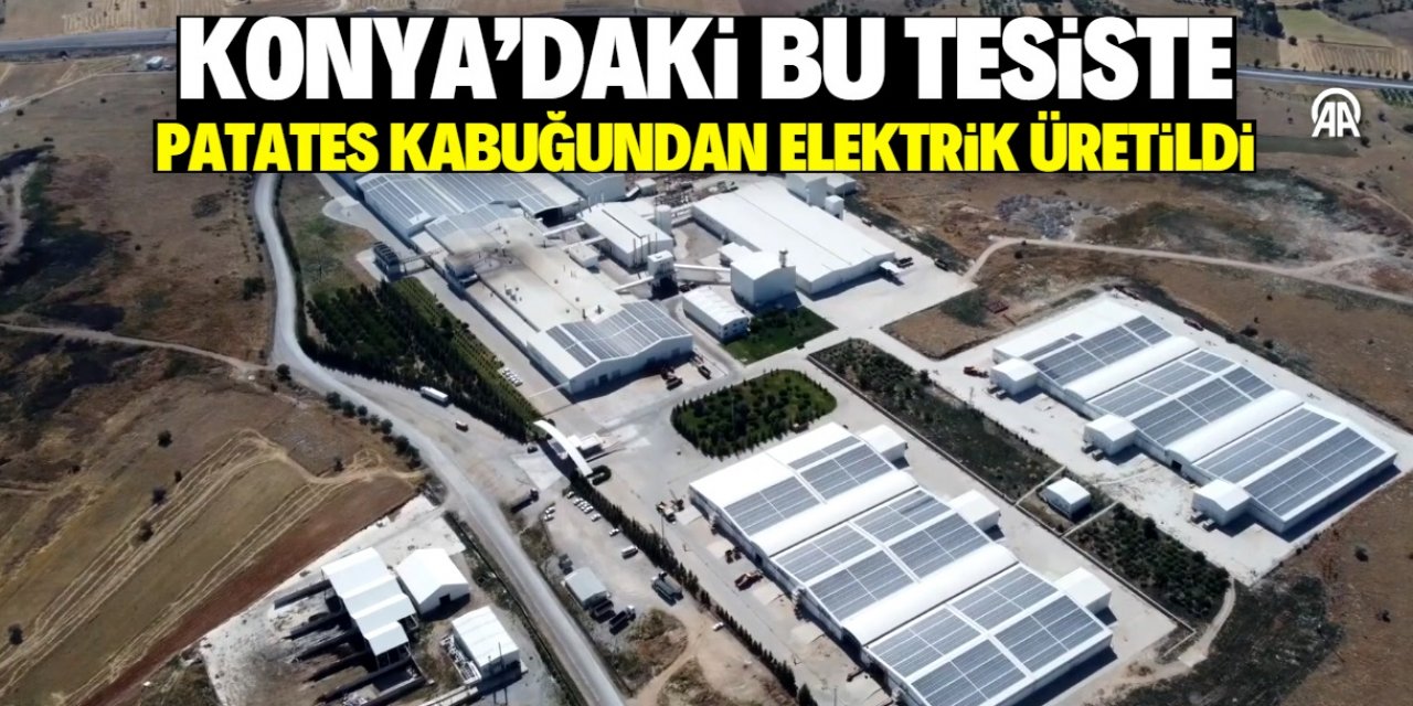 Konya'da patates kabuğundan elektrik üretimi başladı! Ekonomiye katkı sağlayacak