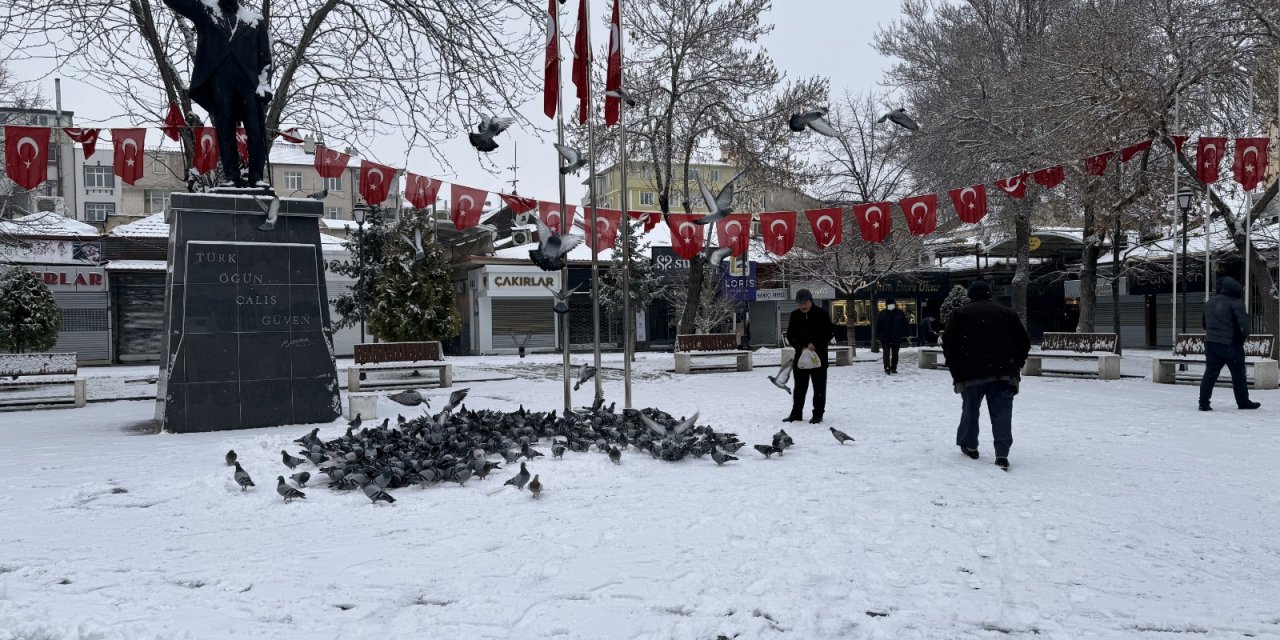 Karaman'da kar etkili oldu
