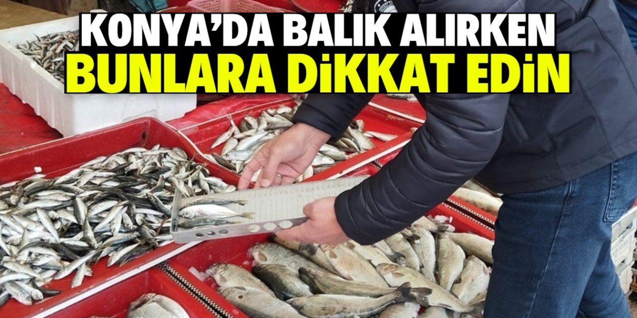Konya'da balık alacaklar dikkat! Bunlar sakıncalı
