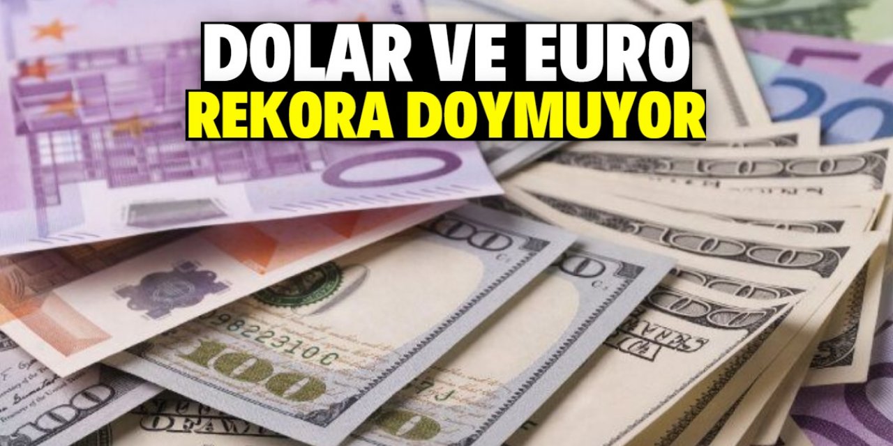 Dolar ve Euro rekora doymuyor