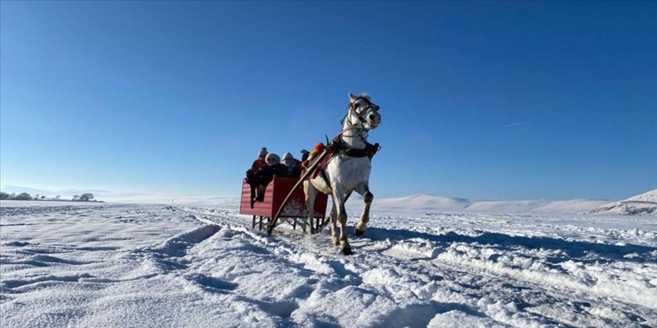 Yüzeyi kar ve buzla kaplı Çıldır Gölü'nde atlı kızak heyecanı sürüyor
