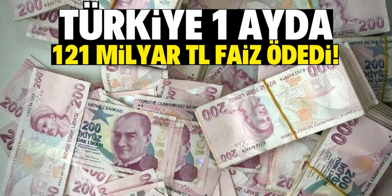 Türkiye 1 ayda 121 milyar TL faiz ödedi!