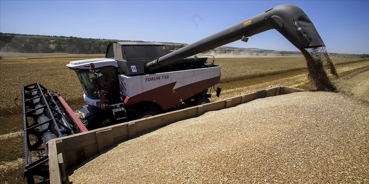 Rusya  bazı ülkelere bedelsiz 200 bin ton tahıl sevkiyatı yaptı