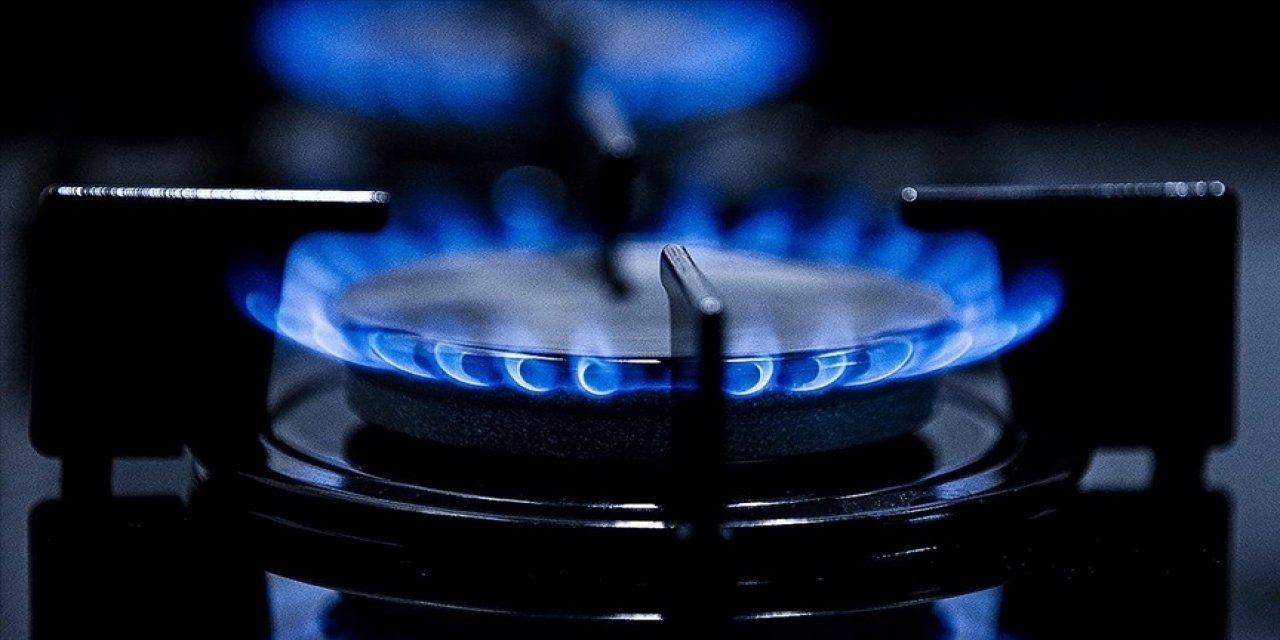 Doğal gaz ithalatı yüzde 4,4 arttı