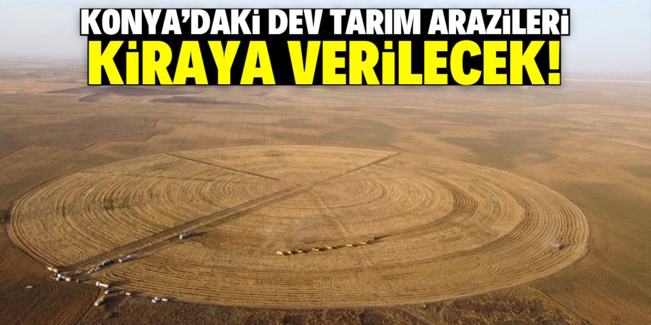 Konya'daki dev tarım arazileri kiraya verilecek! 2,5 milyon lira detayı