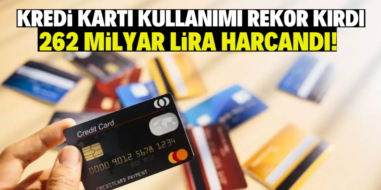 Kredi kartı kullanımı rekor kırdı 262 milyar lira harcandı!
