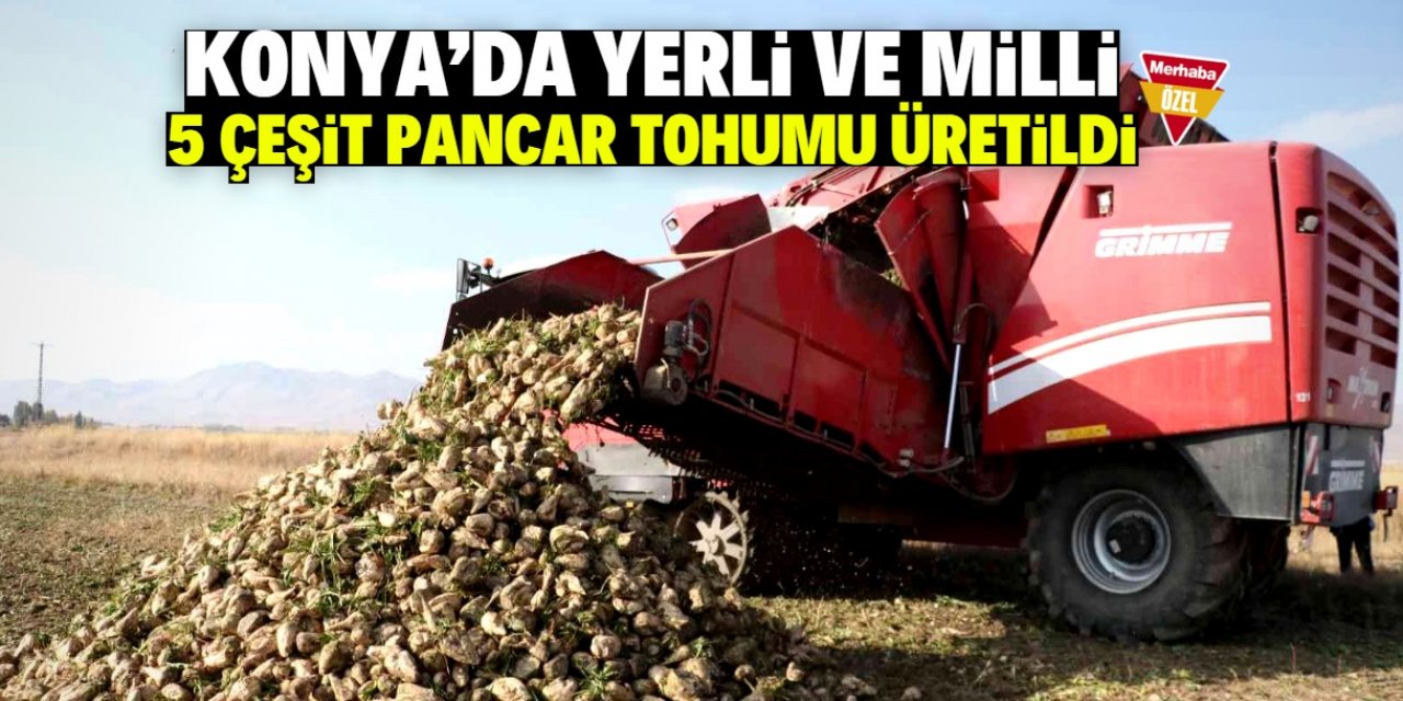 Konya'da yerli ve milli 5 çeşit pancar tohumu üretildi