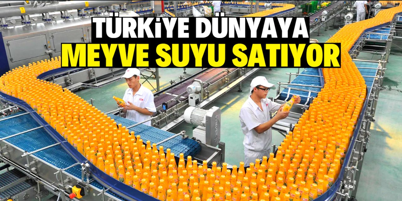 Türkiye dünyaya suyu satıyor!