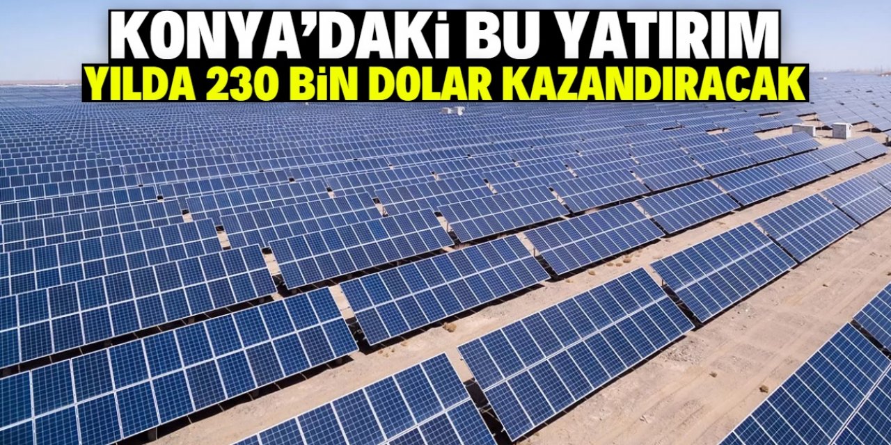 Konya'da bu tarlaya 2 milyon dolar yatırım yapıldı! Yılda 230 bin dolar kazanacaklar