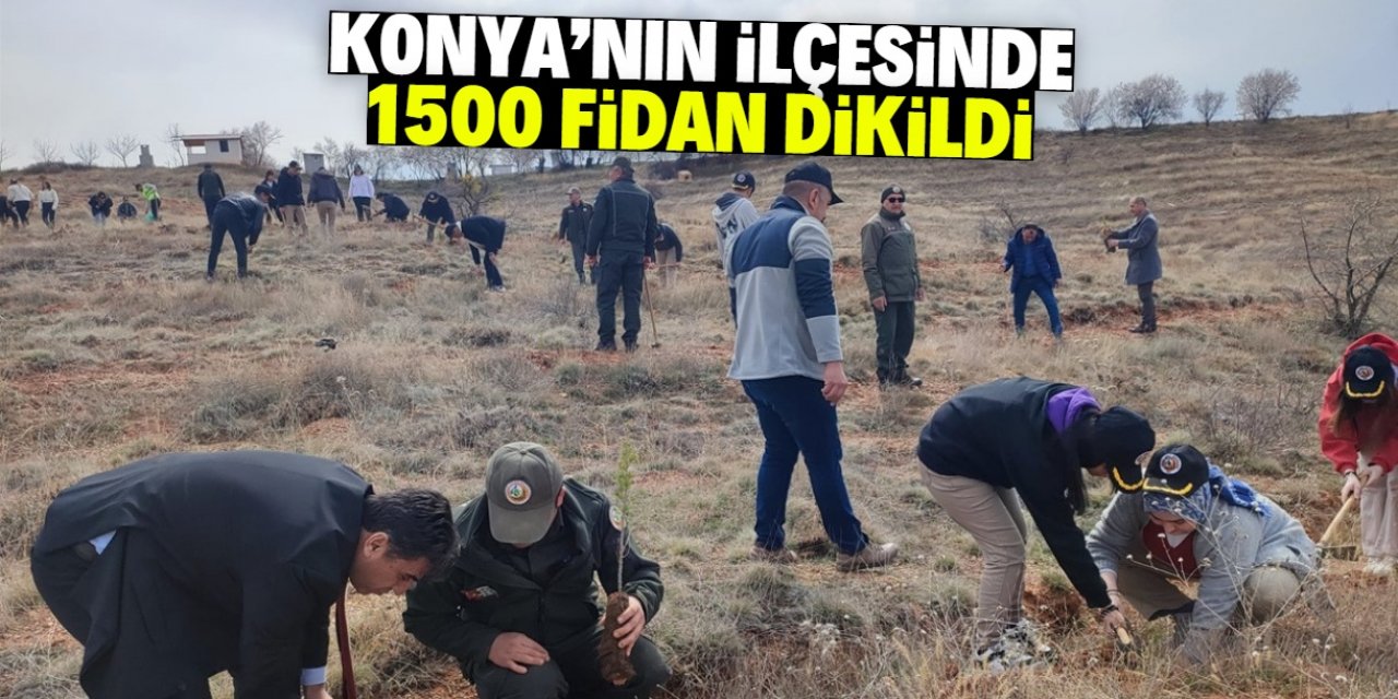 Konya'nın ilçesinde 1500 fidan toprakla buluşturuldu