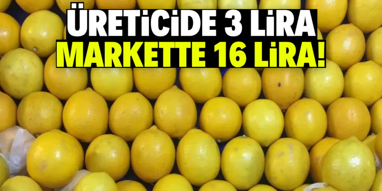 Üreticiden 3 liraya alınan limon markette 16 liraya satılıyor!