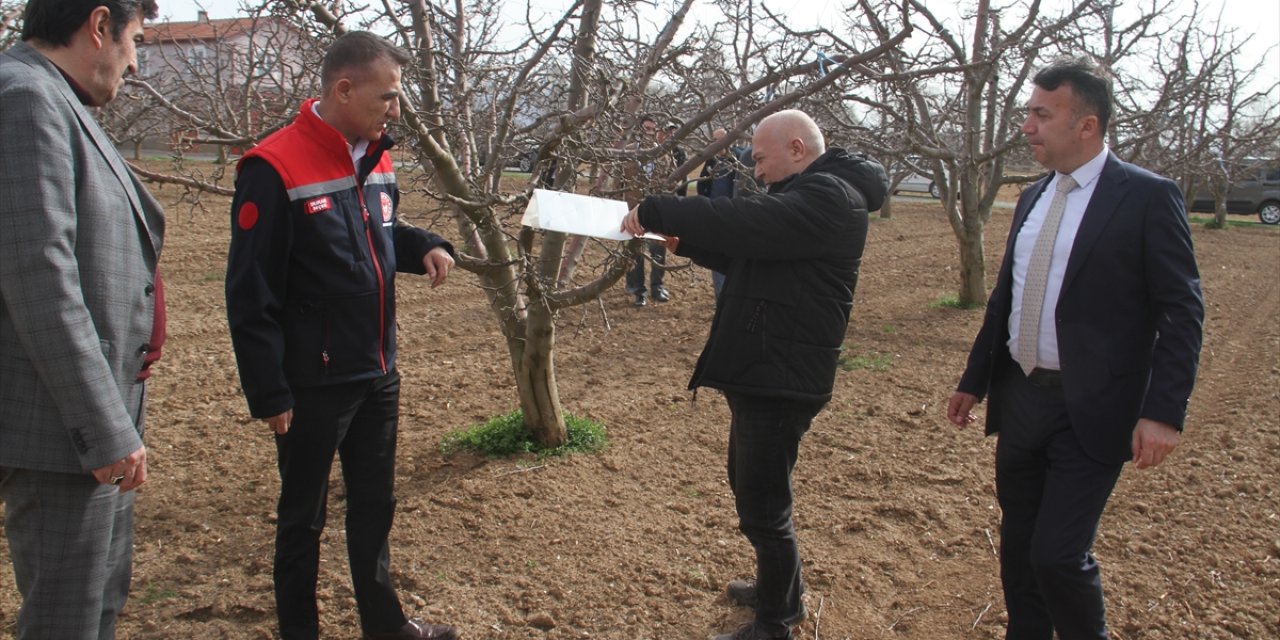 Konya İl Tarım ve Orman Müdürü Seçen Beyşehir'e elma bahçesini gezdi