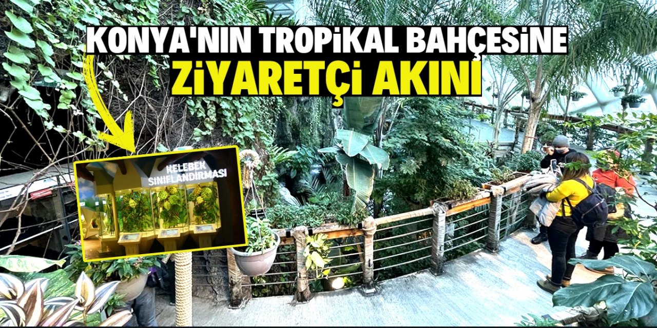 Konya'nın tropikal bahçesine ziyaretçi akını