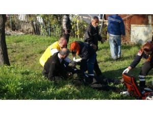 Güvenlik Görevlisi, Hırsızlık Zanlısını Silahla Vurarak Yakaladı