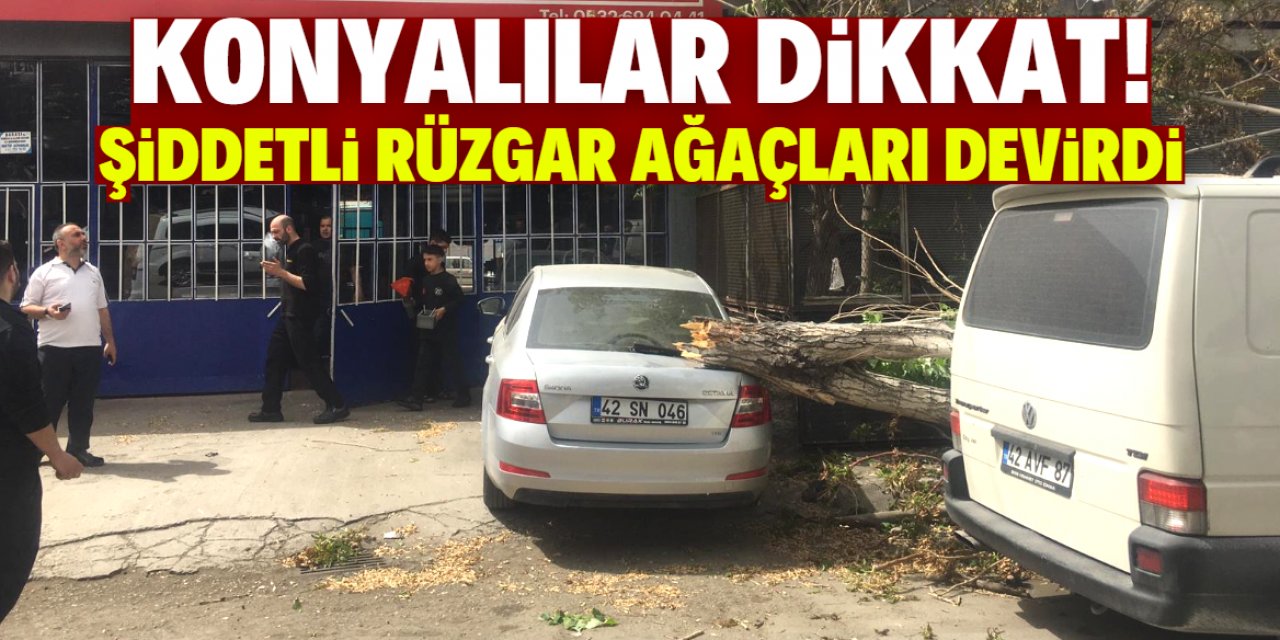 Konya’da şiddetli rüzgar ağaçları devirdi!