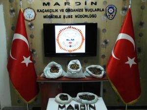 Mardin’de 6 Bin 203 Adet Kaleşnikof Mermisi Ele Geçirildi