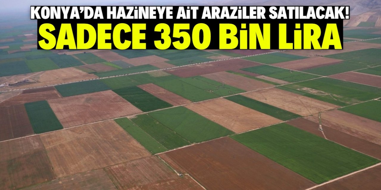 Konya'da hazineye ait dev araziler satışa çıkarıldı! Sadece 350 bin lira