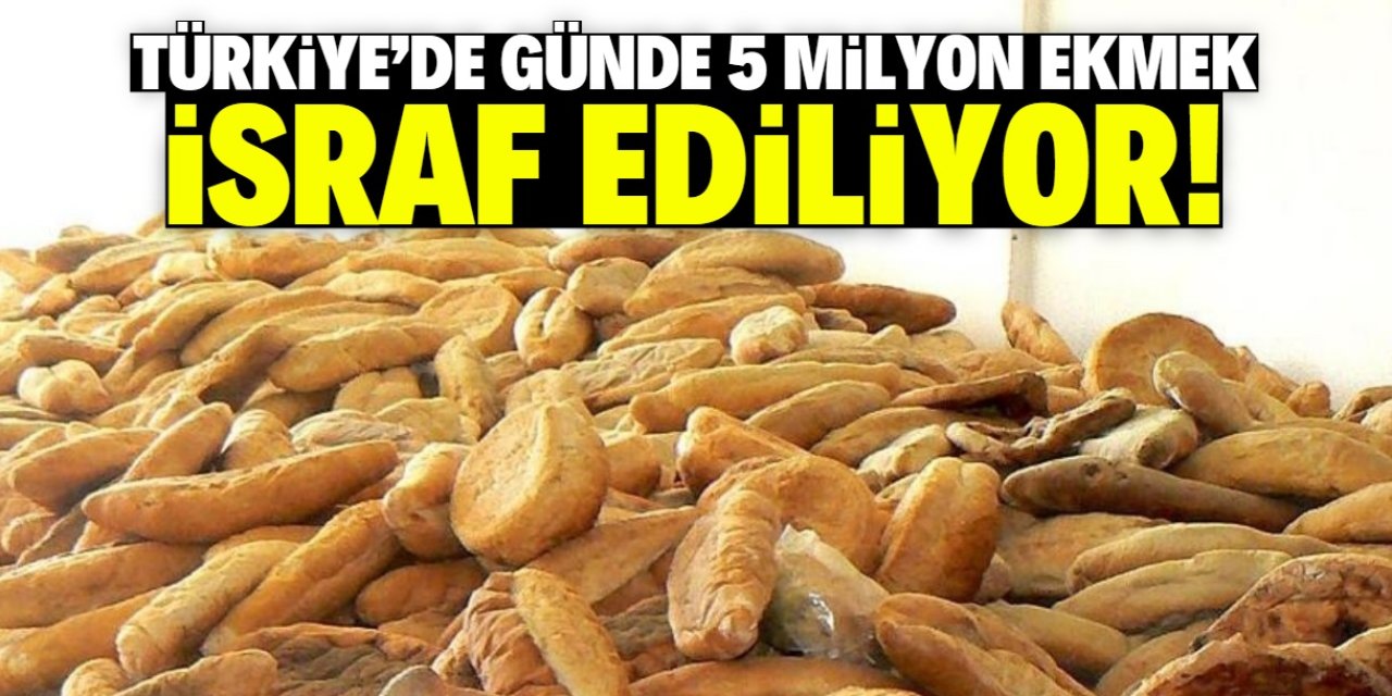Türkiye'de günde 5 milyon ekmek israf ediliyor!