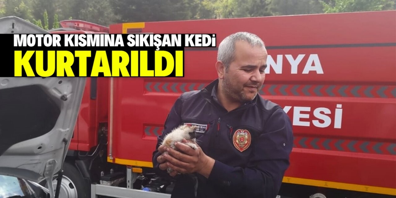 Konya'da otomobilin motor kısmında sıkışan kedi yavrusu kurtarıldı