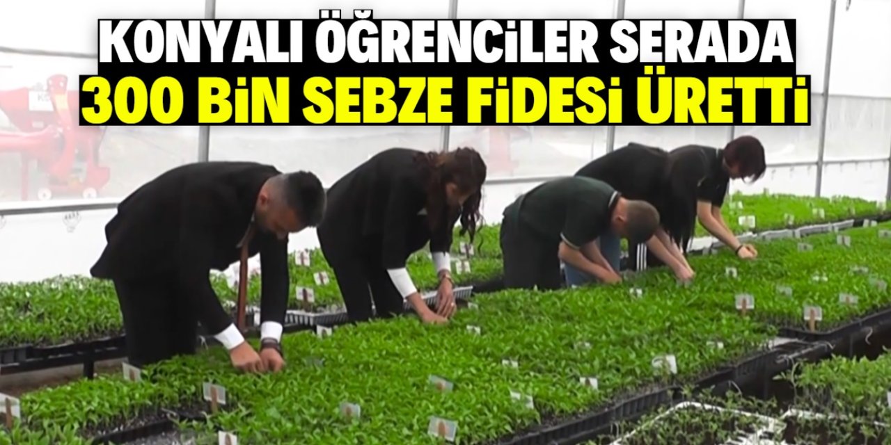 Konyalı öğrenciler okul bahçesinde 300 bin sebze fidesi üretti! Satış başladı