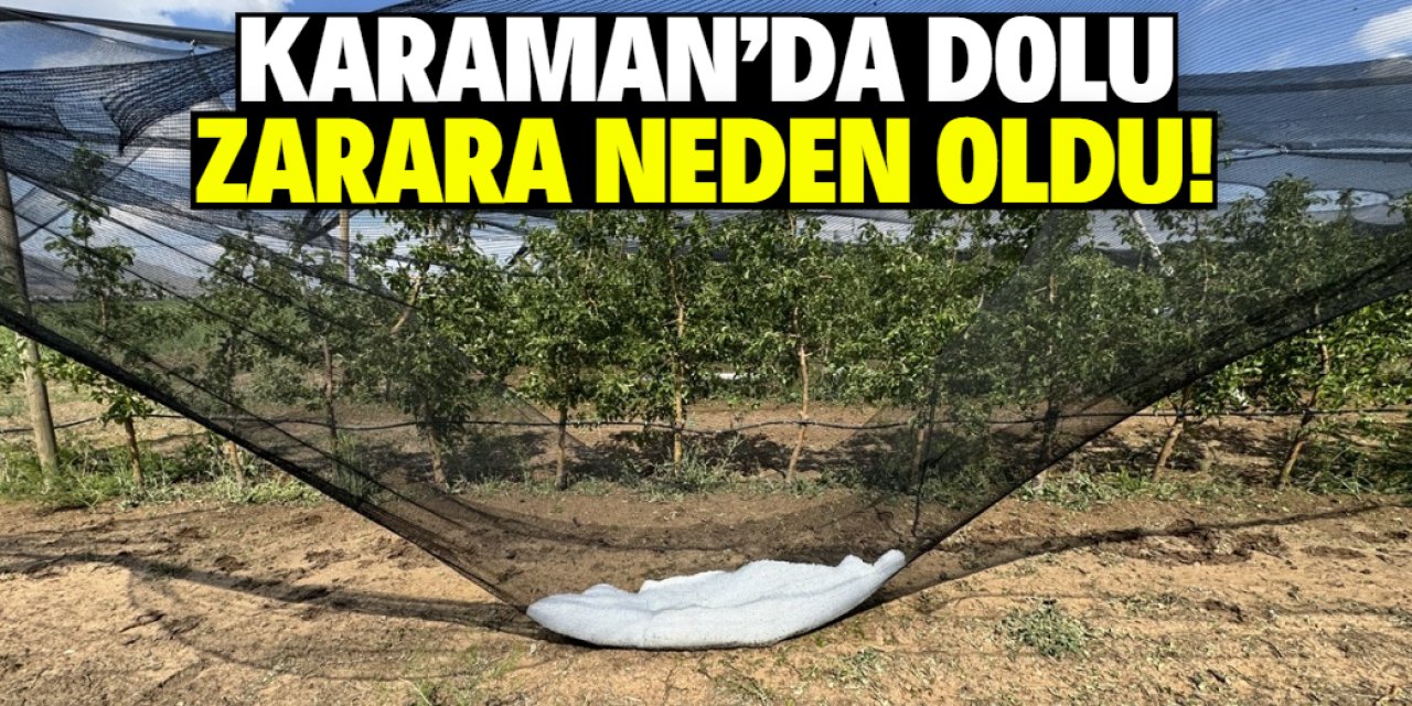Karaman'da dolu tarım arazilerini bu hale getirdi!