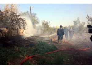 Ormanlık Alandaki Yangın Ev Sahiplerini Korkuttu