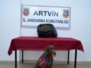 Otomobilde 3 Kilogram Esrar Ele Geçirildi, 4 Kişi Tutuklandı