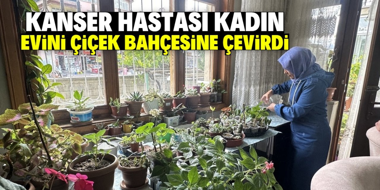 Konya'da kanser hastası kadın hediye gelen çiçekleri çoğalttı! Evi çiçek bahçesine çevirdi