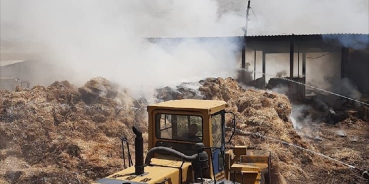 Konya'da yem bitkilerinin olduğu çiftlikte yangın