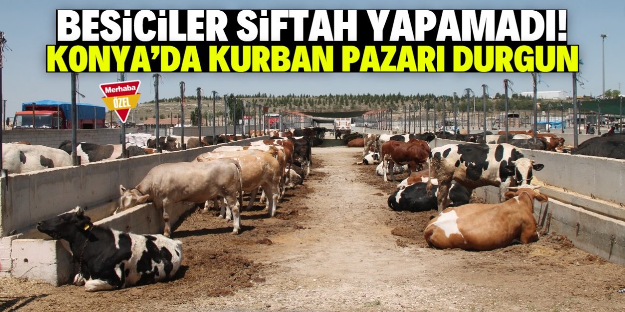 Konya'da kurban pazarı durgun! Çünkü vatandaşa göre fiyatlar yüksek