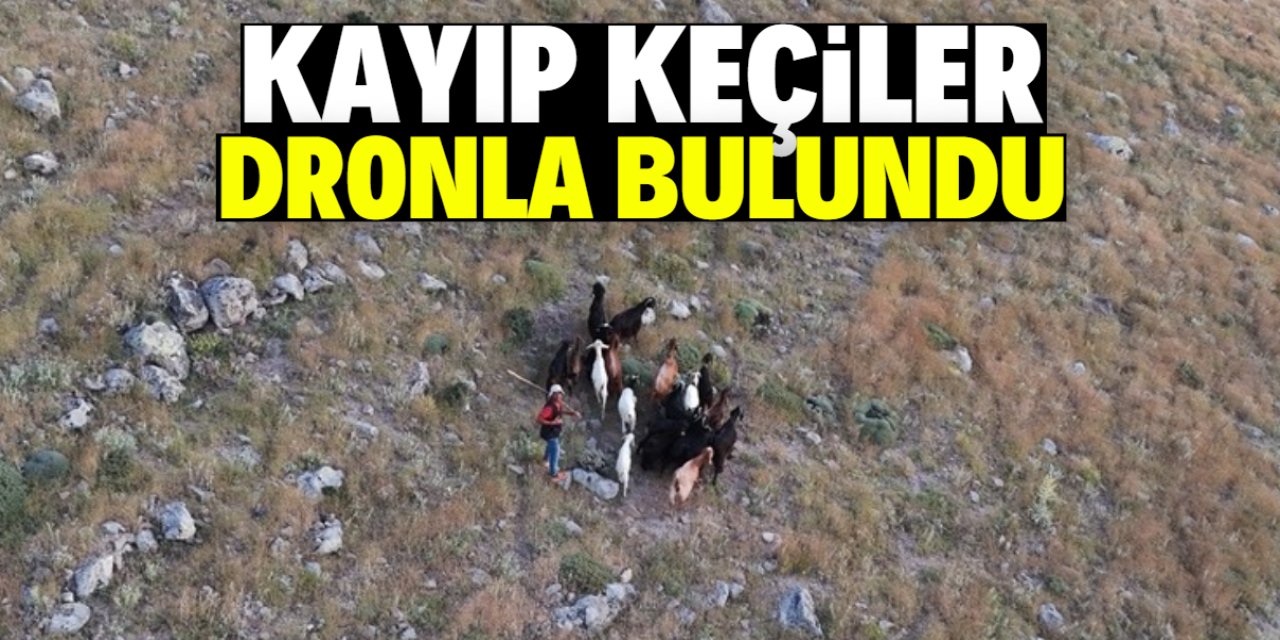 Karapınar'da kayıp keçiler dronla bulundu