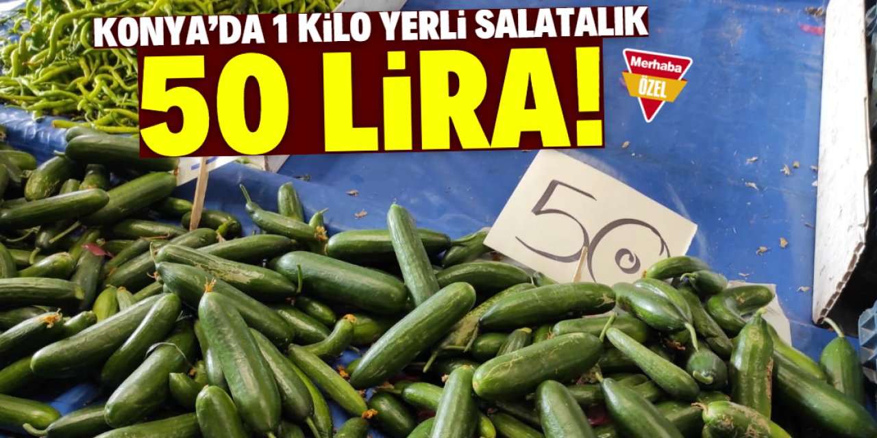 Konya’da bayram fırsatçılığı: Yerli salatalık 50 lira!