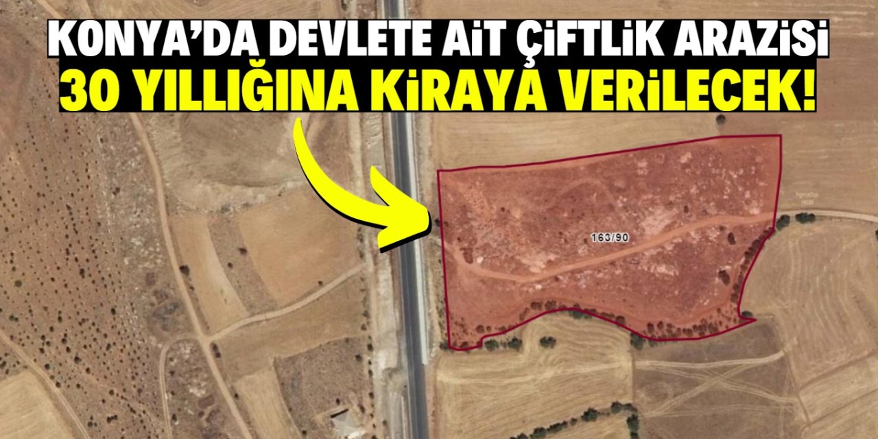 Konya'da devlete ait çiftlik arazisi 30 yıllığına kiraya verilecek!