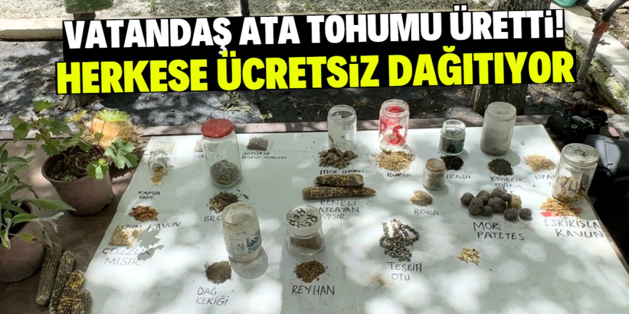 Türkiye'de vatandaş 110 bitkiden ata tohumu üretti! Herkese ücretsiz dağıtıyor