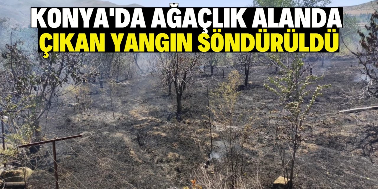 Konya'da ağaçlık alanda çıkan yangın söndürüldü