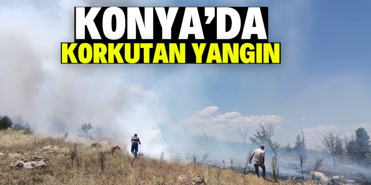 Konya'nın ilçesinde korkutan yangın