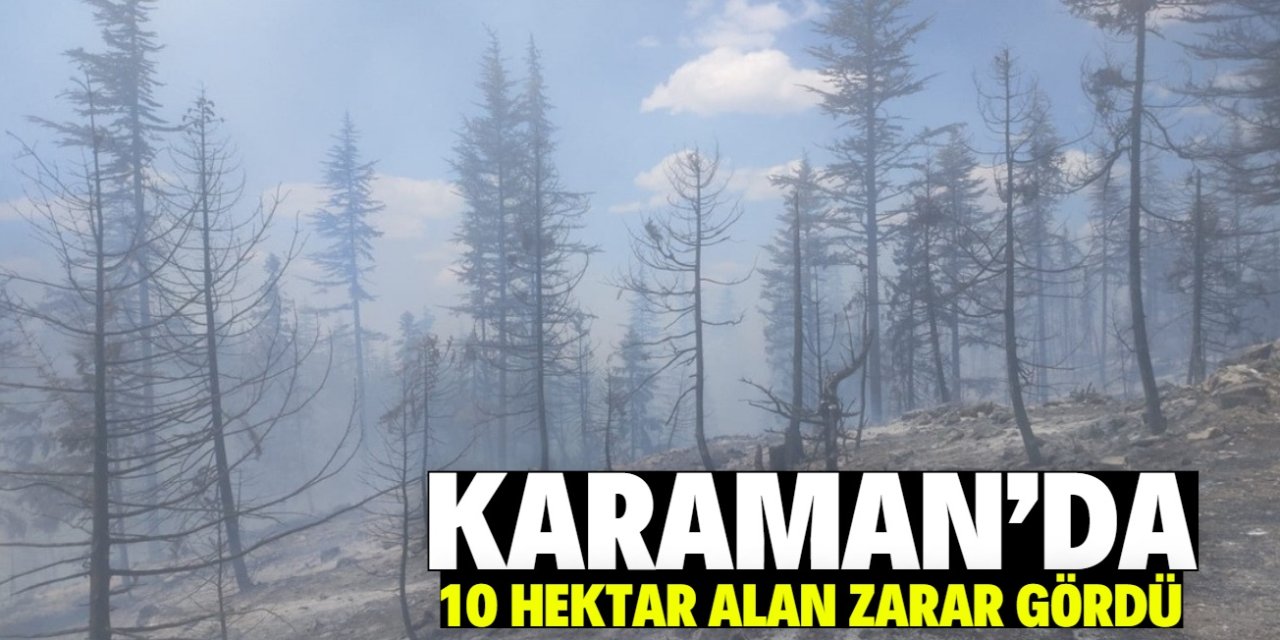 Karaman'da çıkan orman yangınında 10 hektar alan zarar gördü