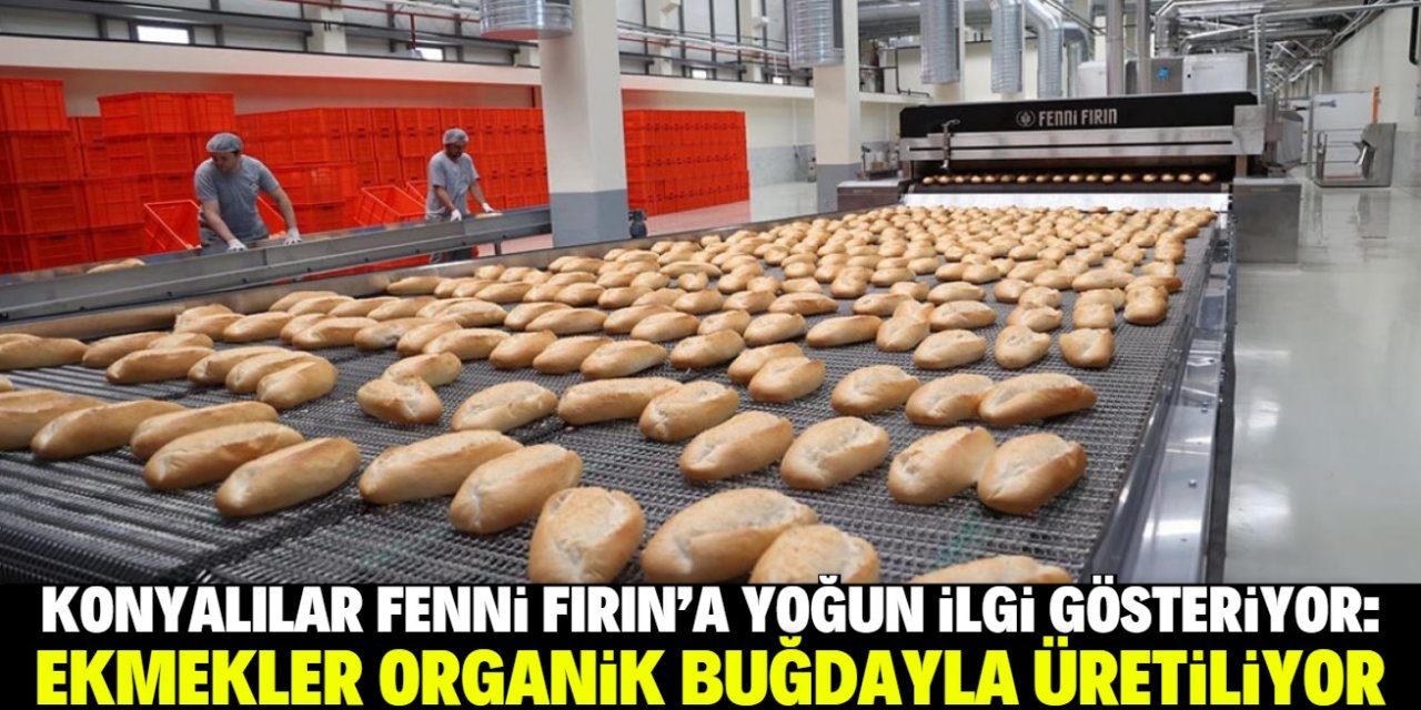 Konya'da Fenni Fırın'ın ekmekleri organik buğdayla üretiliyor! İşte o tarla