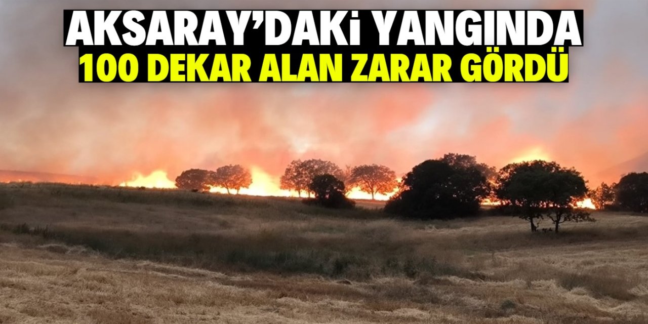 Aksaray'da buğday ve arpa ekili tarlada çıkan yangında 100 dekar alan zarar gördü