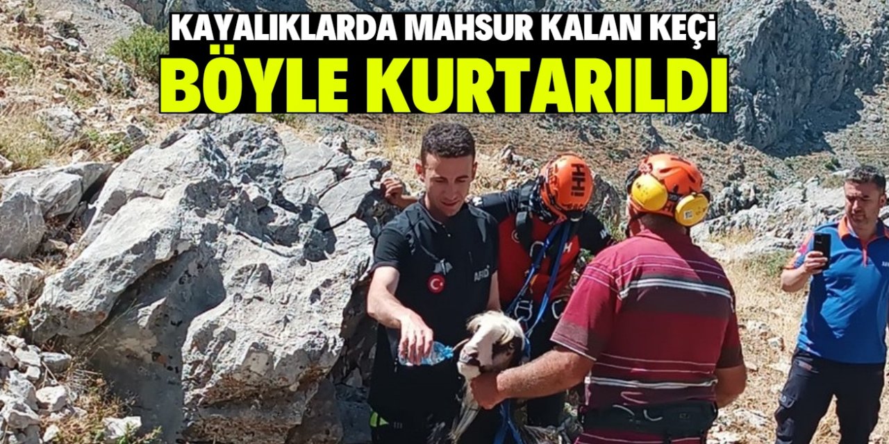 Konya'da kayalıklarda mahsur kalan keçi böyle kurtarıldı