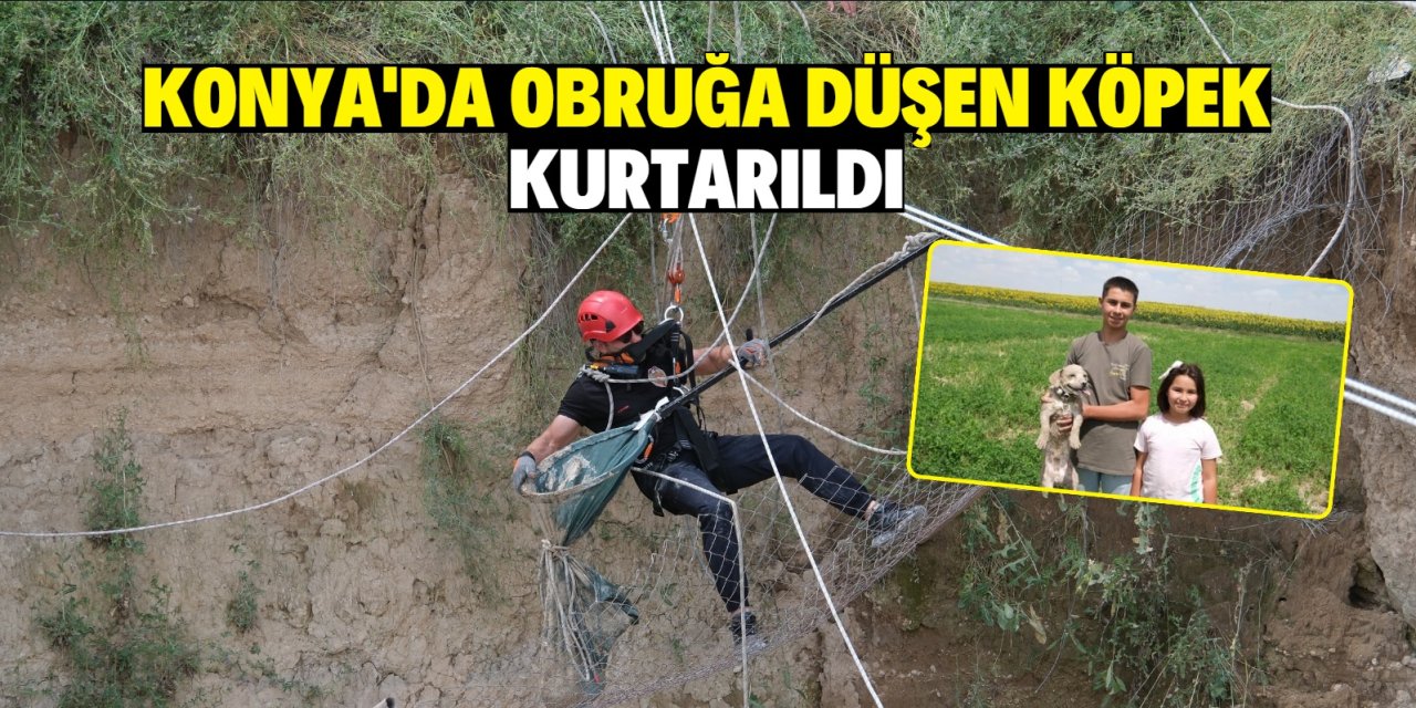 Konya'da obruğa düşen köpek kurtarıldı