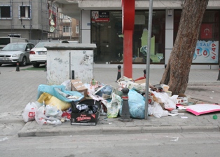 Çöpler ağaç diplerine bırakıldı