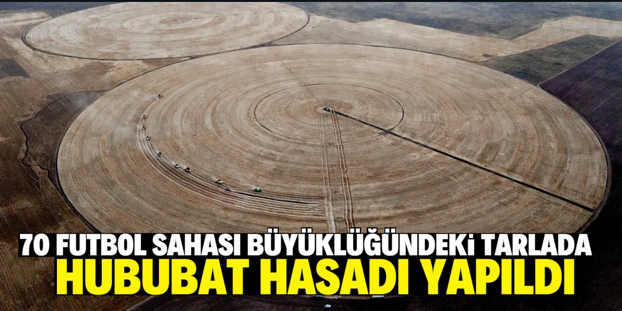 Konya'da 70 futbol sahası büyüklüğündeki tarlada hububat hasadı yapıldı