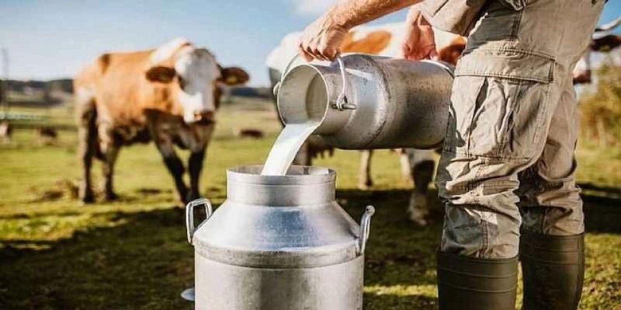 Süt üretimi ilk  5 ayda arttı
