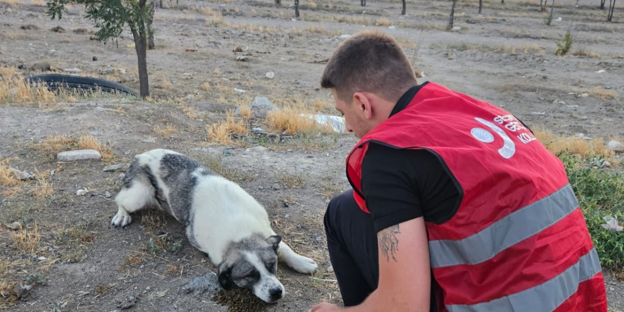 ‘Tasarı yaşam   hakkına aykırı’