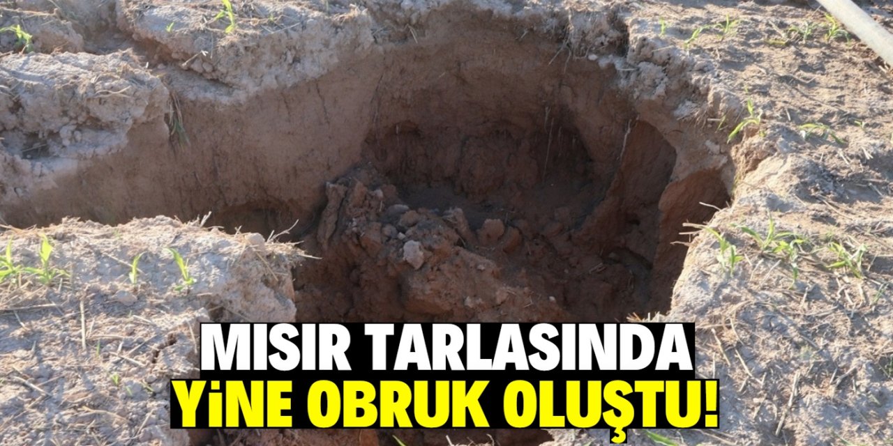 Aksaray ve Konya'da obruk alarmı! Yine mısır tarlasında oluştu