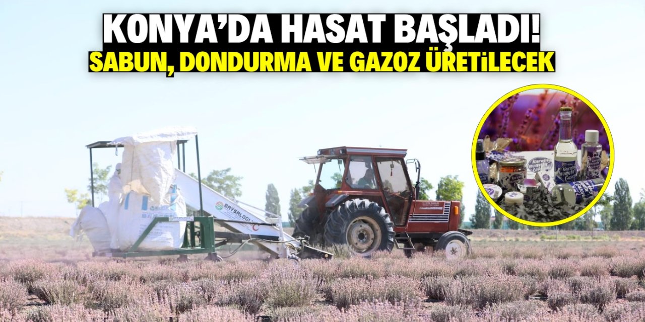 Konya'da hasat başladı! Mahsullerden gazoz, dondurma ve sabun üretilecek