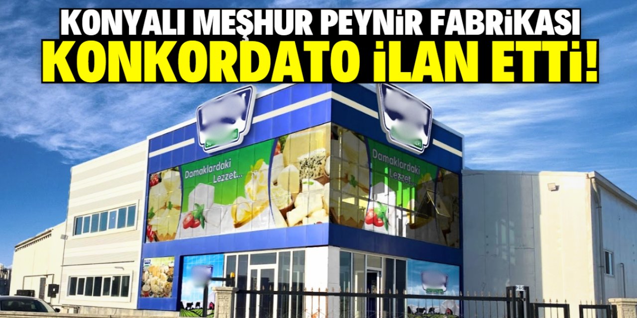 Konya'daki dev peynir fabrikası konkordato ilan etti! 3 ay süre verildi