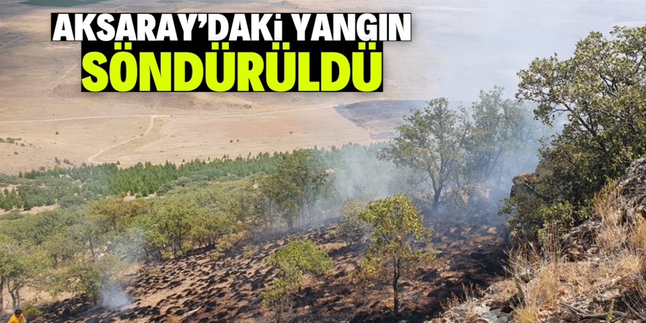 Aksaray'da ormana sıçrayan anız yangını söndürüldü